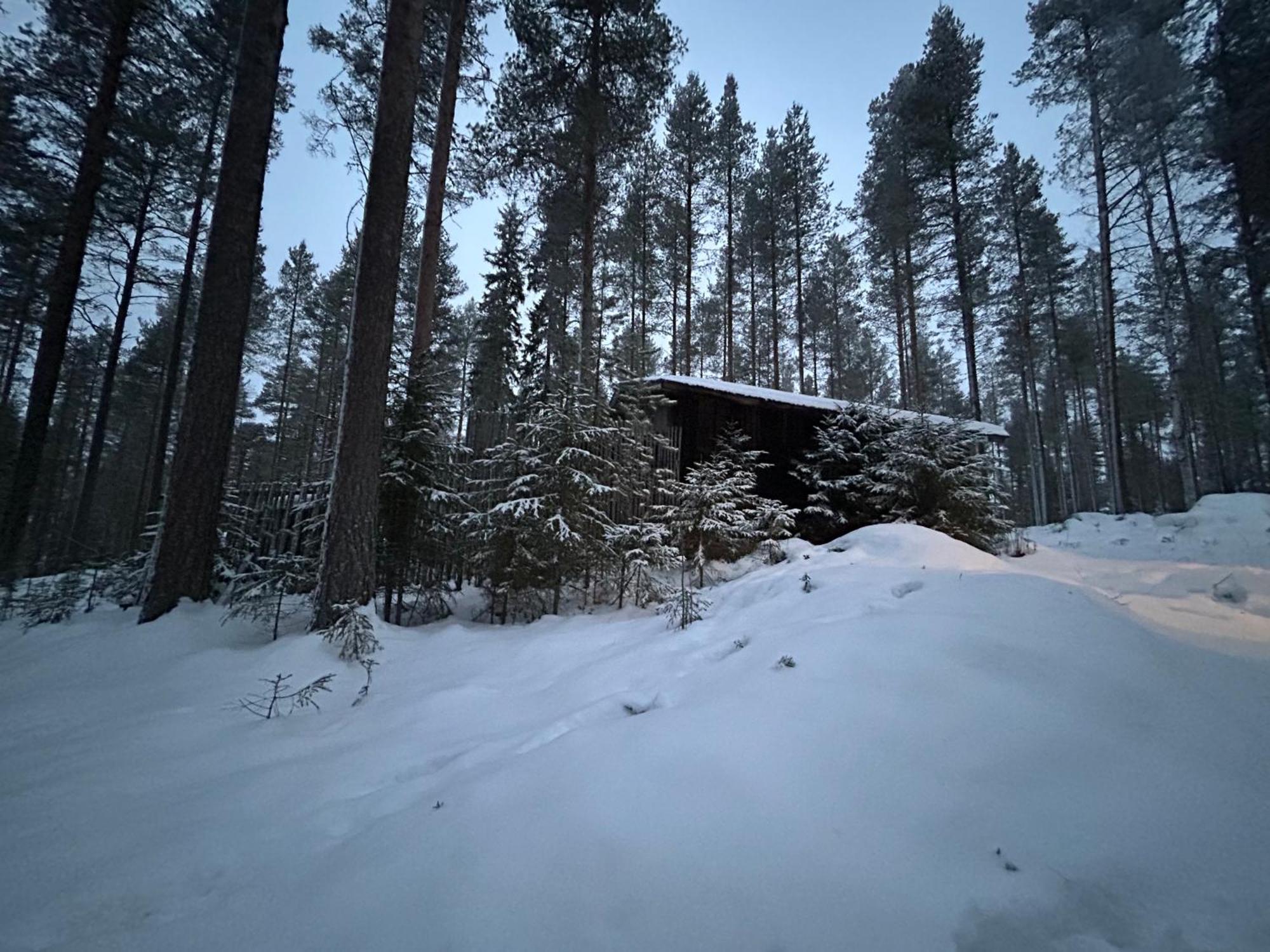 Kaamos Old House Villa Rovaniemi Exterior photo